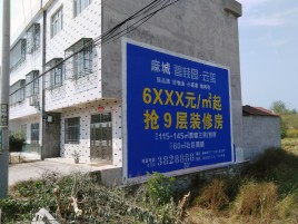 洞口墙体广告质量分析